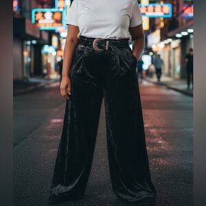 NWT Kooples New Wrinkle Velvet pants